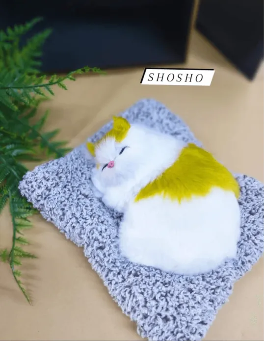 Glitter Shop